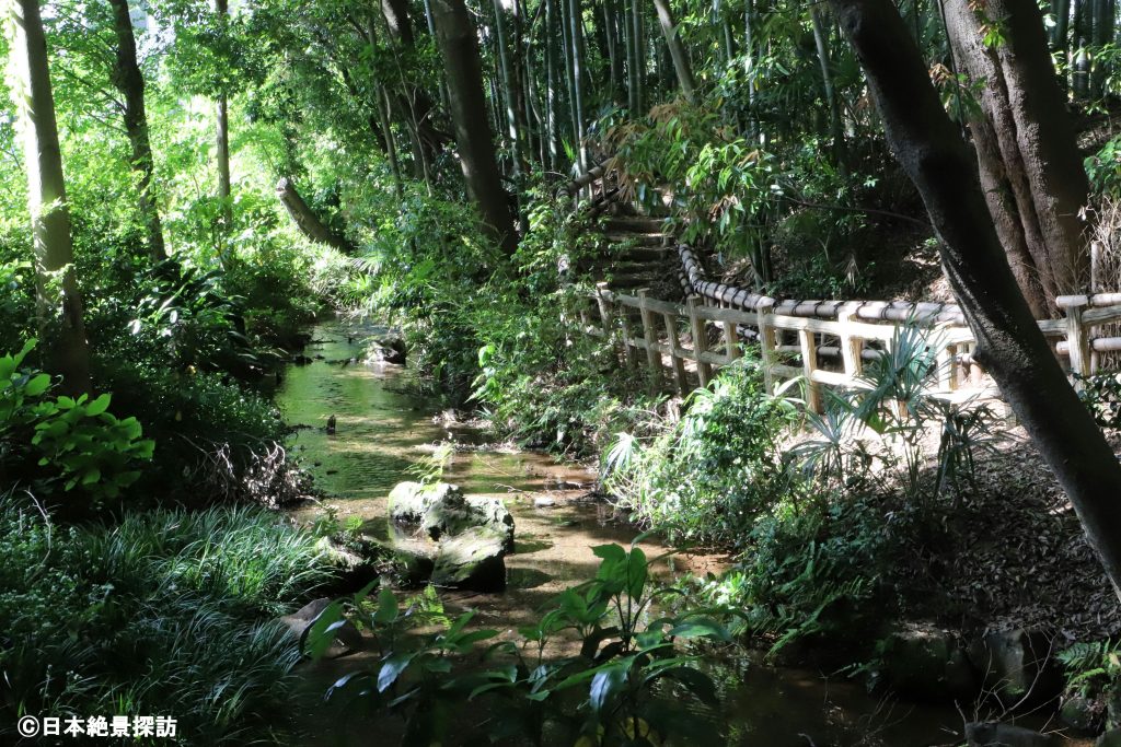 竹林公園（東京都東久留米市）・遊歩道と小川のせせらぎ