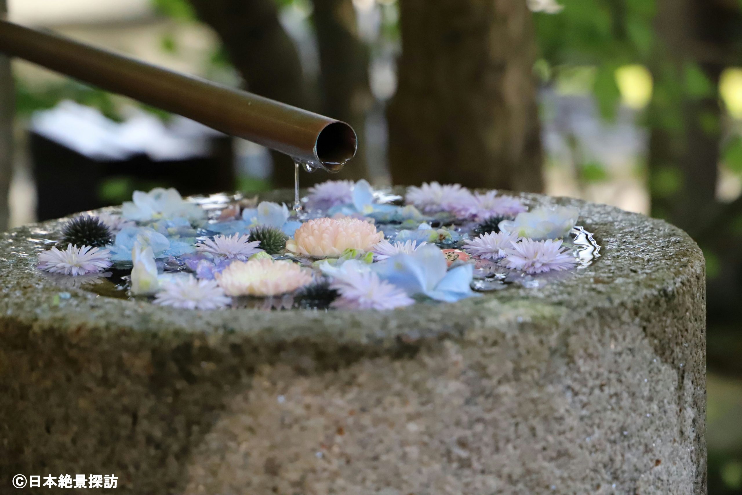 行田八幡神社（埼玉県行田市）・水琴窟の花手水を横から