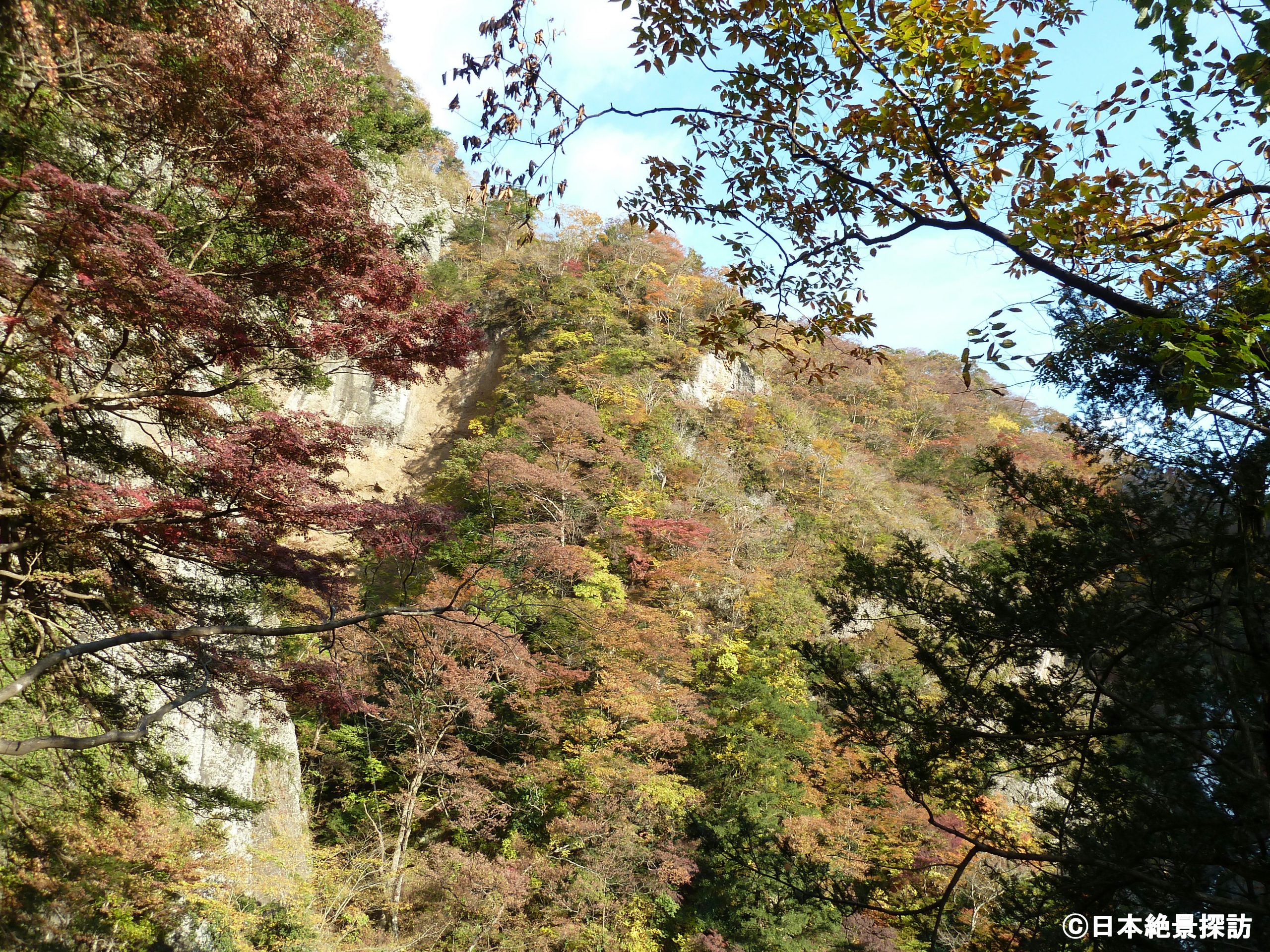 袋田の滝（茨城県大子町）・紅葉する木々