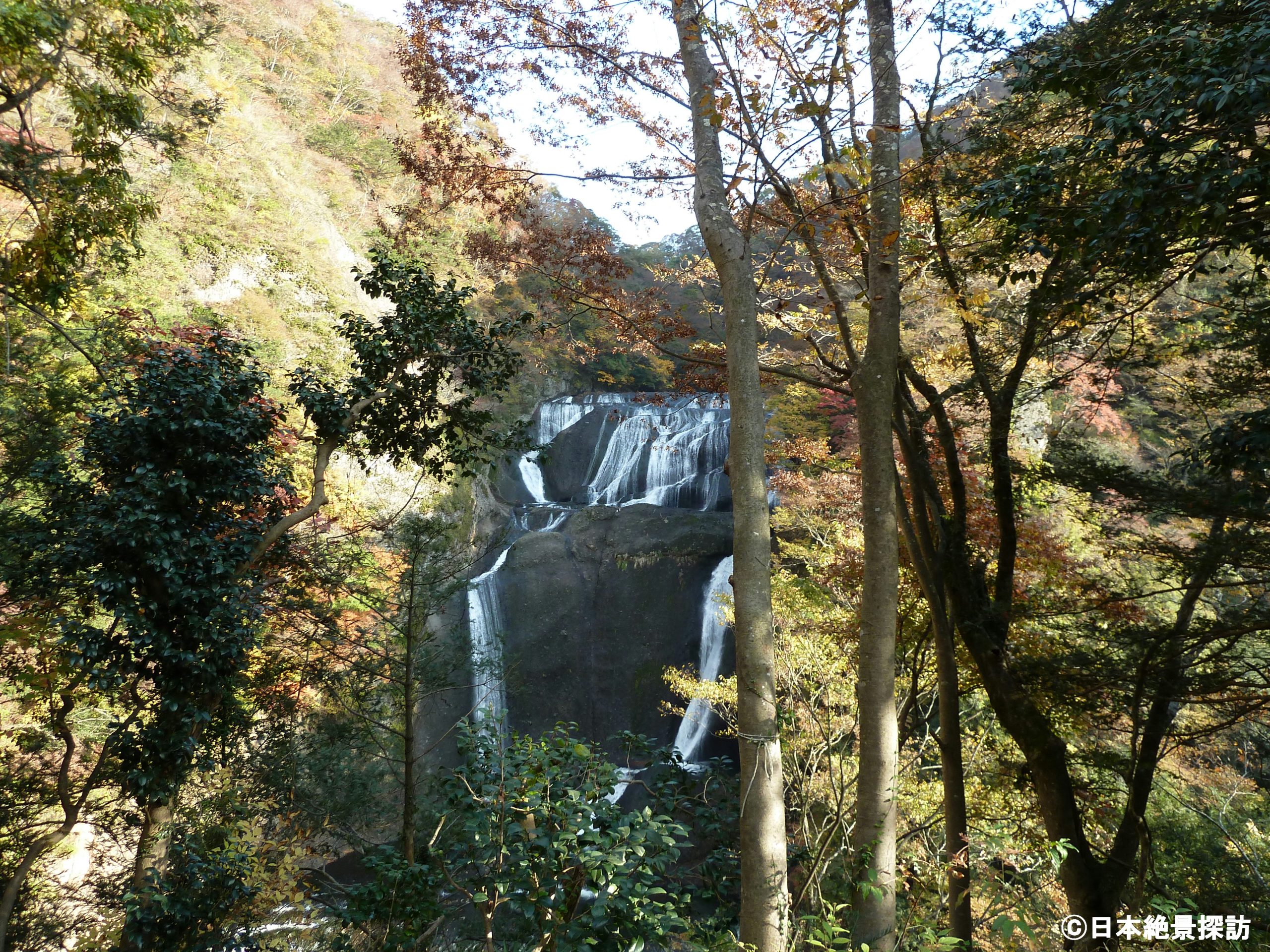 袋田の滝（茨城県大子町）・木々の隙間から