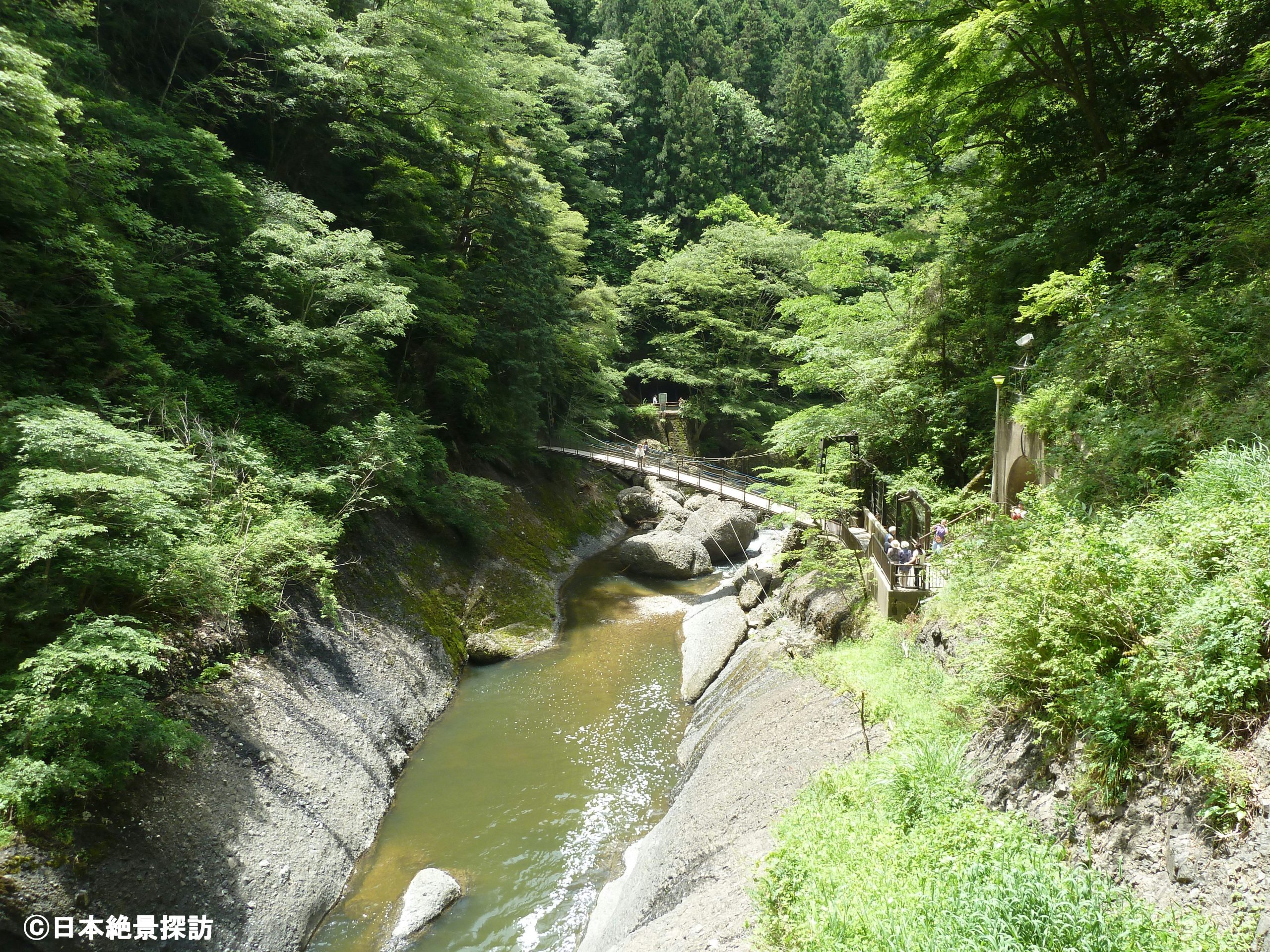 袋田の滝（茨城県大子町）・吊り橋と緑
