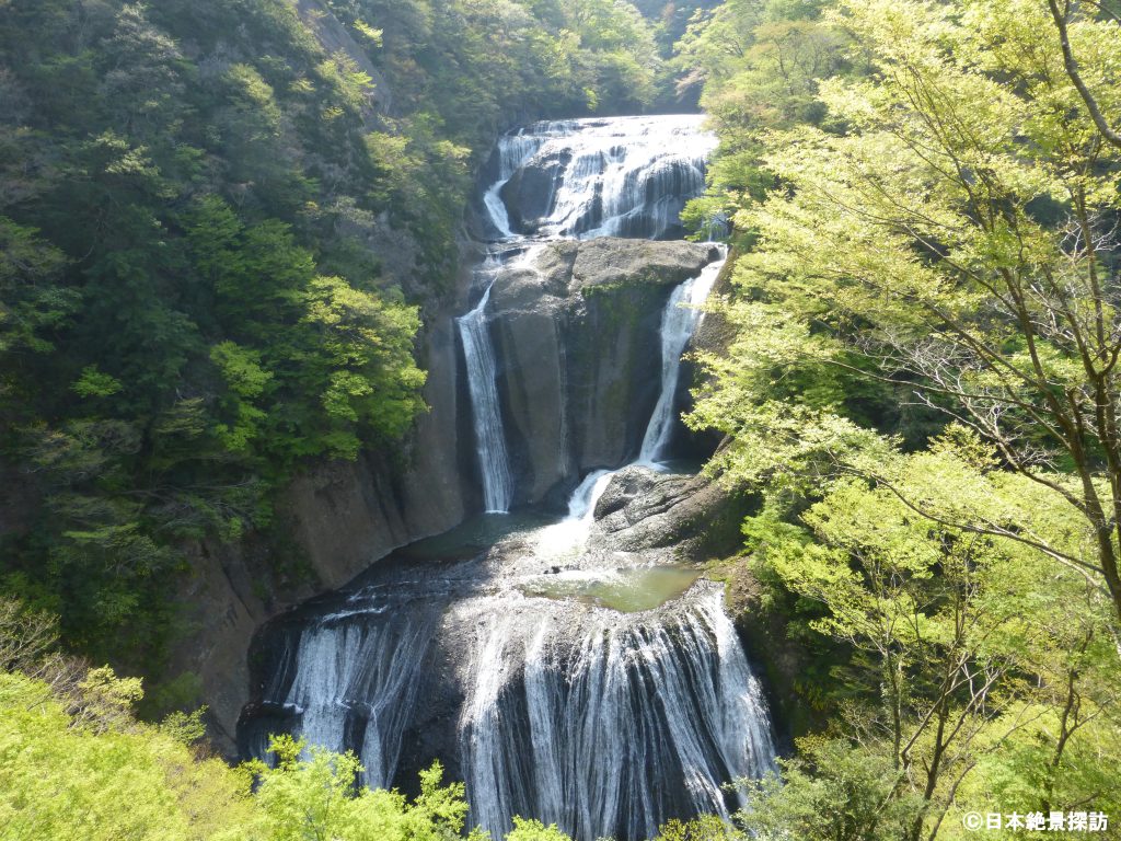 新緑の袋田の滝（茨城県大子町）
