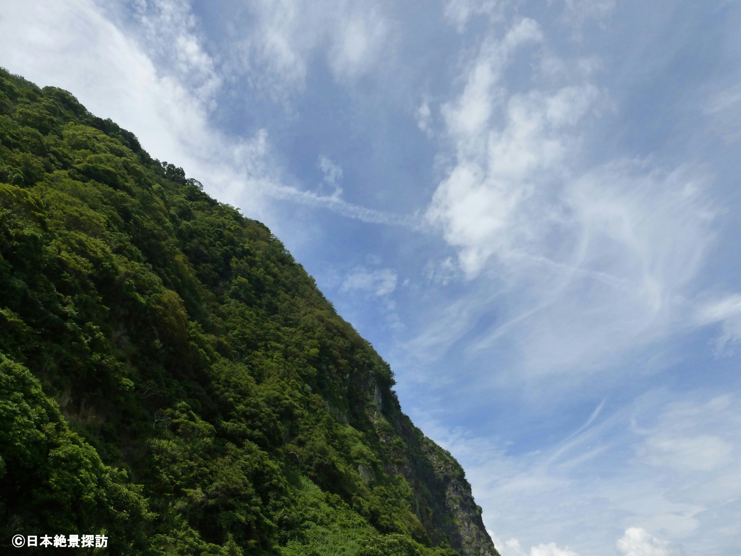 大崩海岸（静岡県静岡市駿河区）・急峻な地形を見上げる