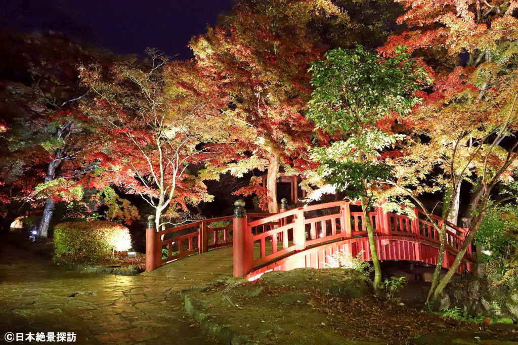 熱海梅園（静岡県熱海市）・駐杖（ちゅうじょう）橋付近の紅葉ライトアップ