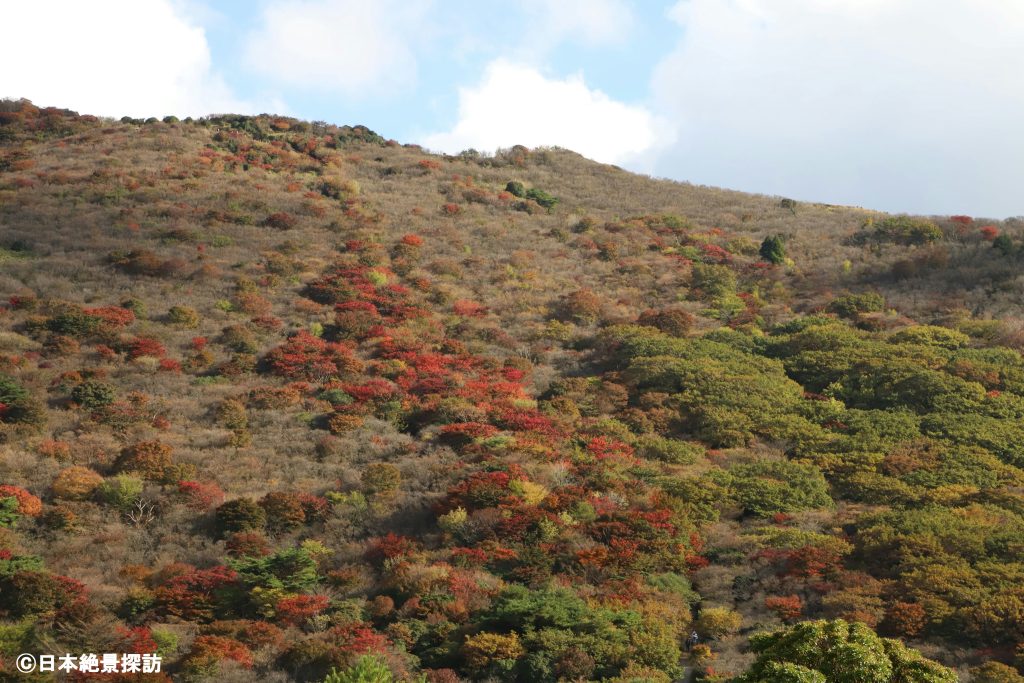 牧ノ戸展望台（大分県九重町）から見た景色・紅葉の階段