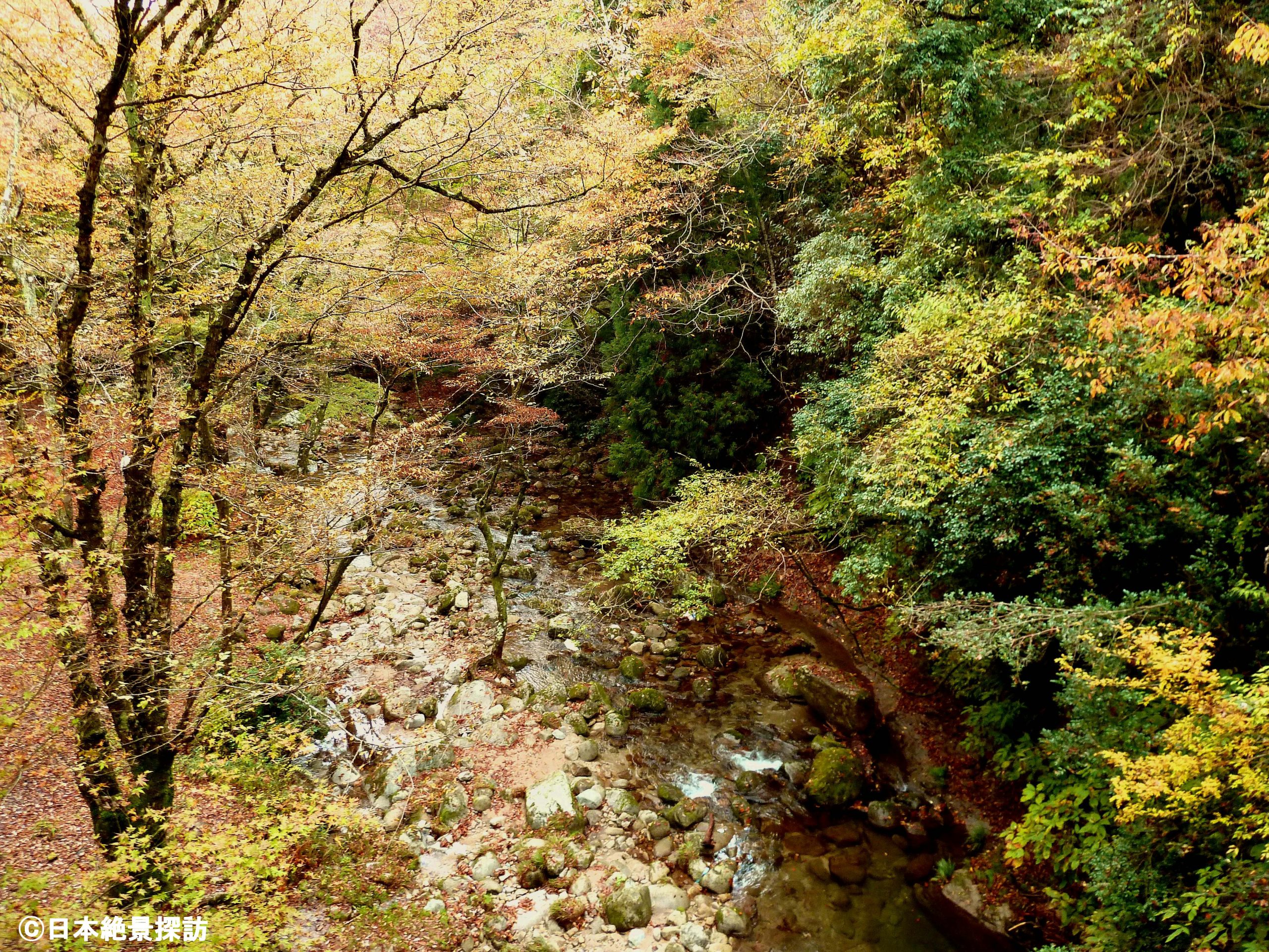 花貫渓谷（茨城県高萩市）・汐見滝吊り橋から見る花貫川