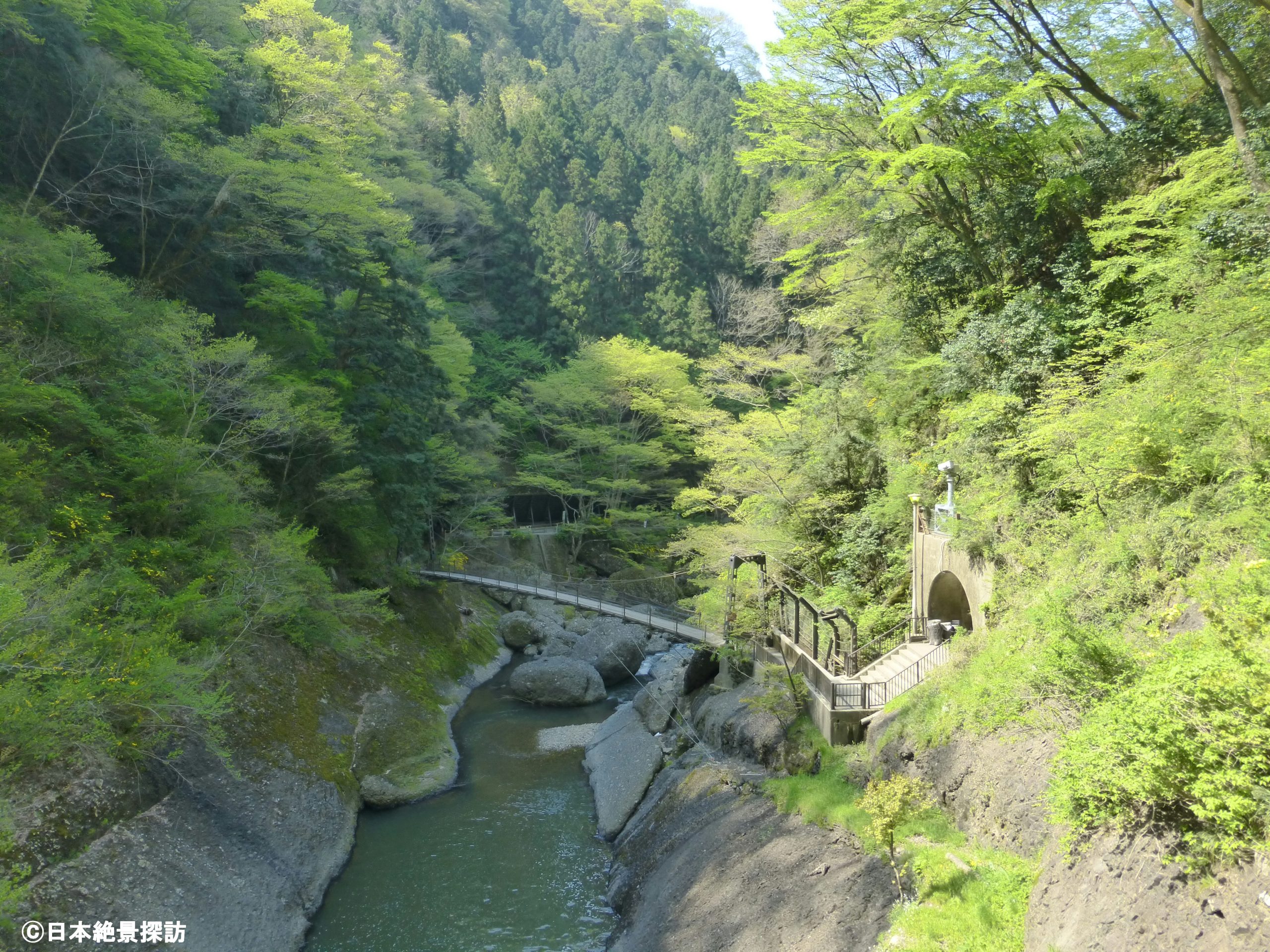 新緑の袋田の滝（茨城県大子町）・吊り橋を見下ろす