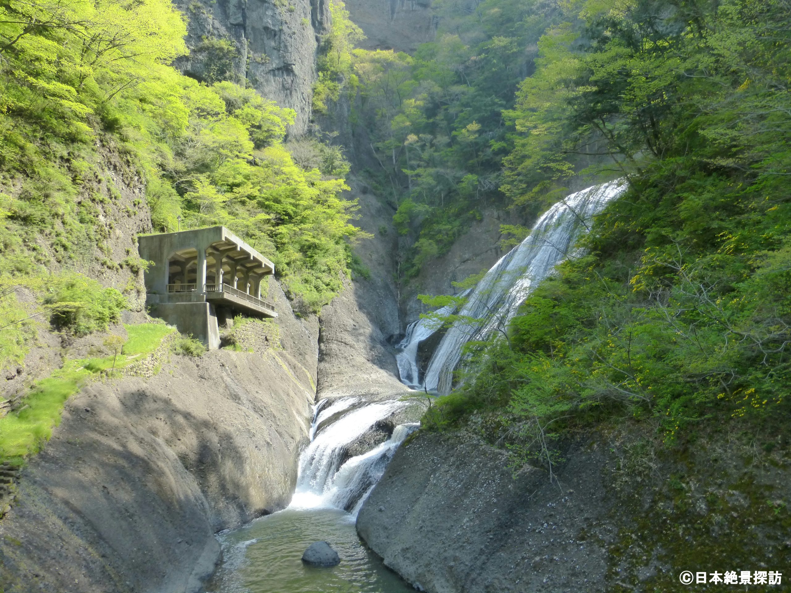 第一観瀑台と新緑の袋田の滝（茨城県大子町）