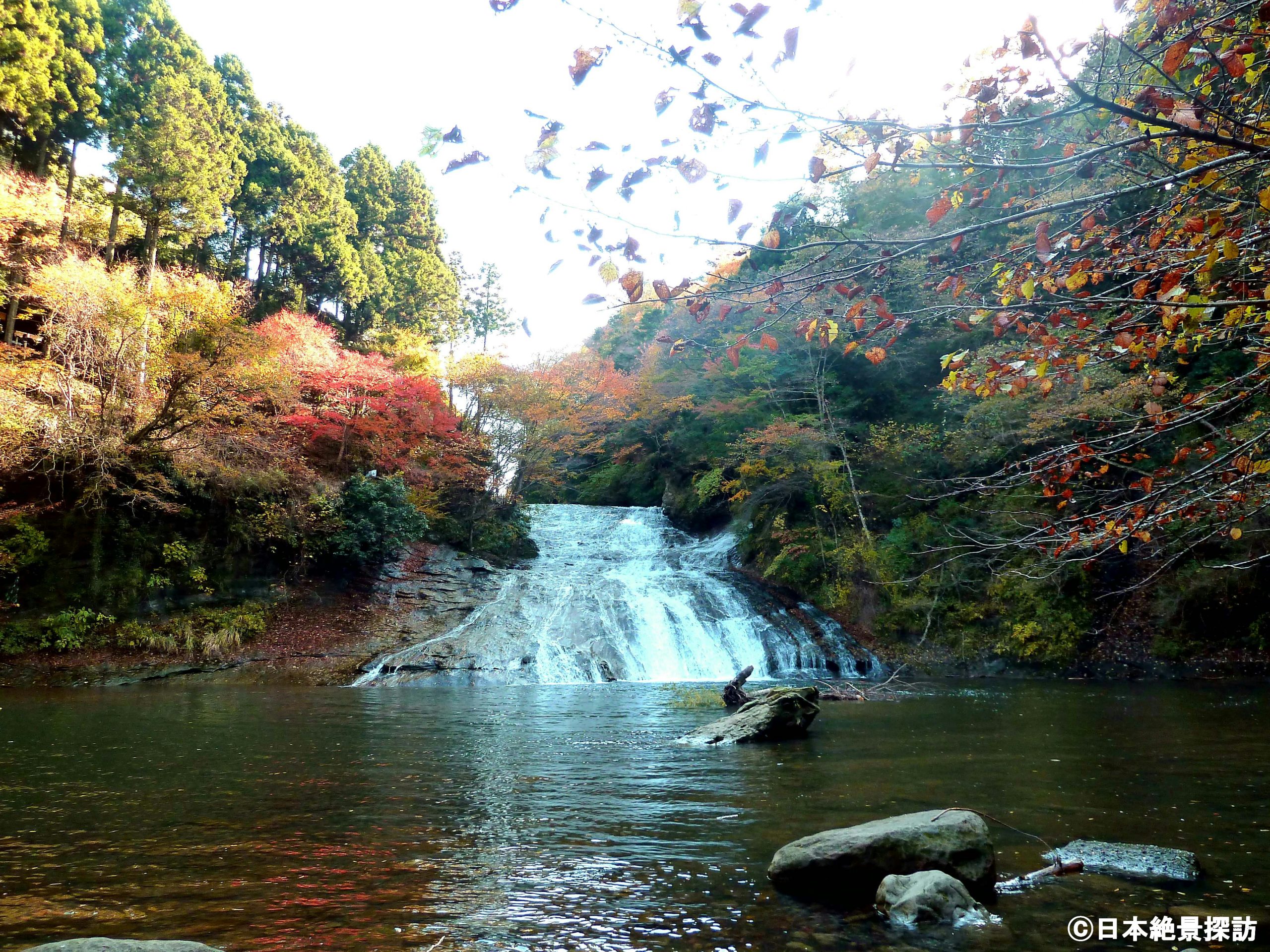 養老渓谷（千葉県大多喜町）・紅葉の粟又の滝