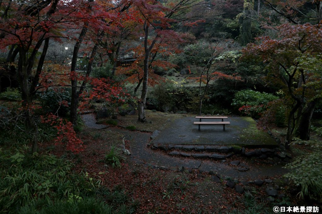 熱海梅園（静岡県熱海市）・紅葉に囲まれた休憩所
