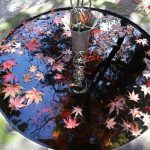 覚園寺（神奈川県鎌倉市）の紅葉