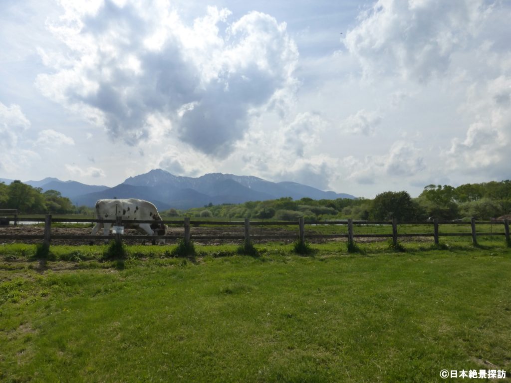 滝沢牧場（長野県南牧村）・放牧地と八ヶ岳の山並み
