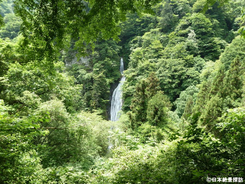 丸神の滝（埼玉県小鹿野町）・展望台から