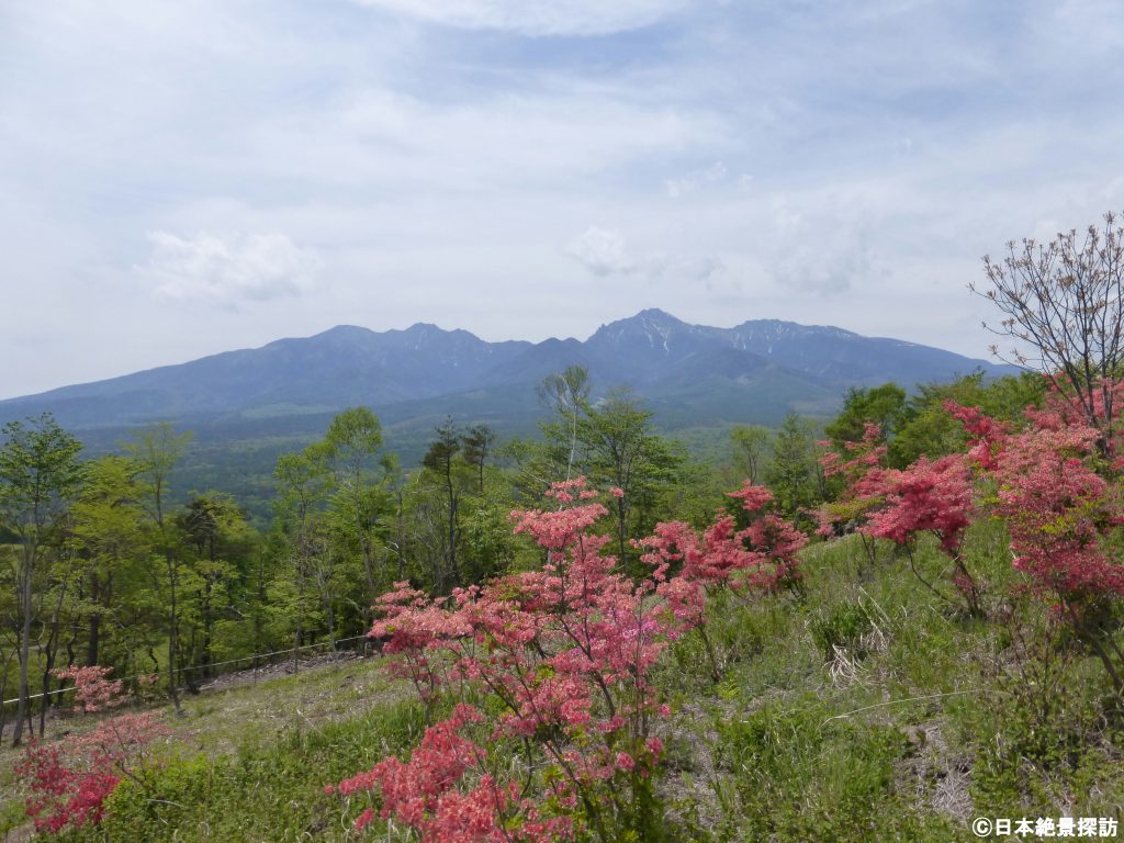 平沢峠（長野県南牧村）と獅子岩・春～初夏の季節を彩るヤマツツジ