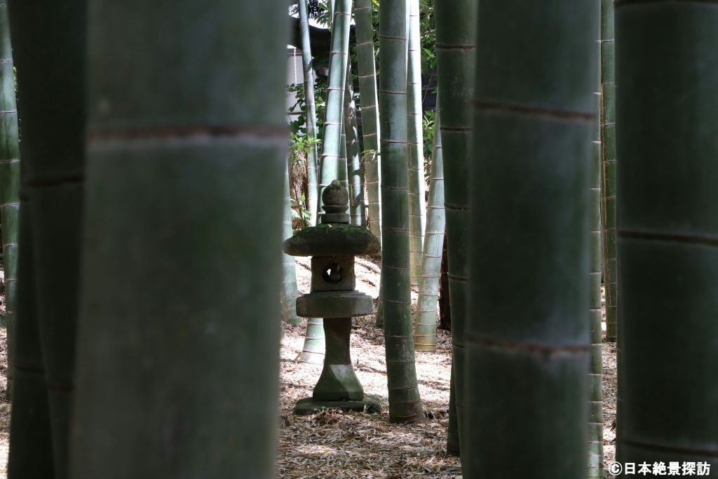 報国寺（神奈川県鎌倉市）・竹林に挟まれて
