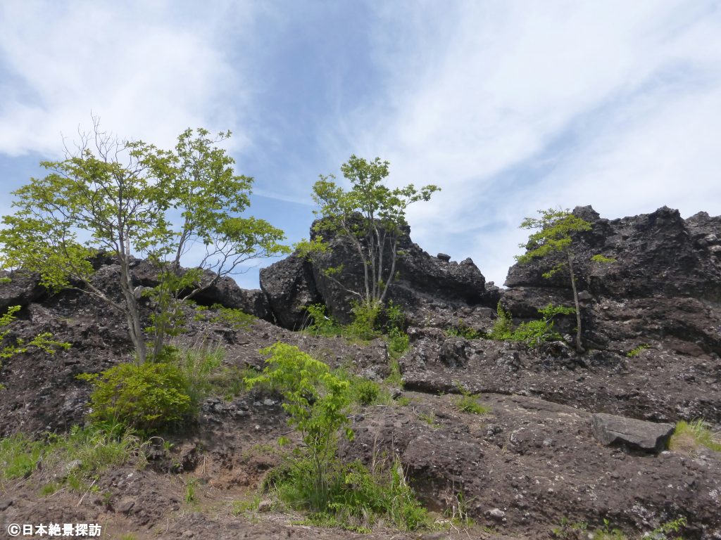 平沢峠（長野県南牧村）と獅子岩・3つの大岩と3本の木