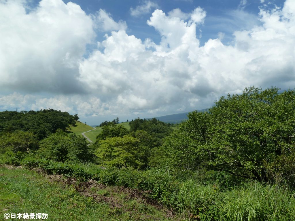 平沢峠（長野県南牧村）と獅子岩・峠に広がる夏の雲