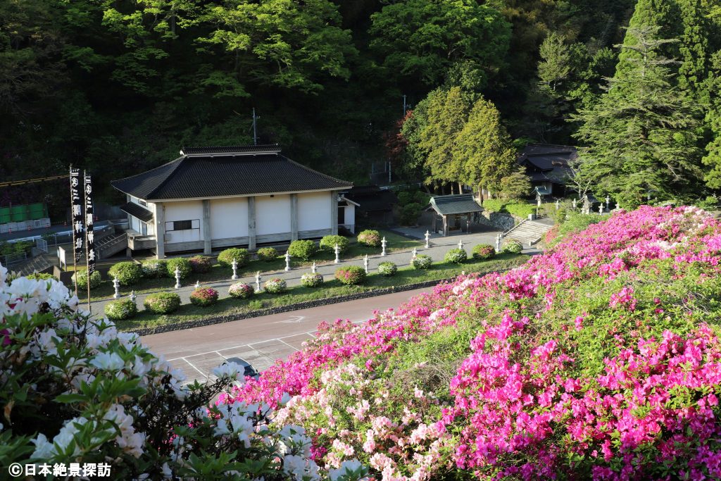 三隅公園（島根県浜田市）・ツツジと三隅神社