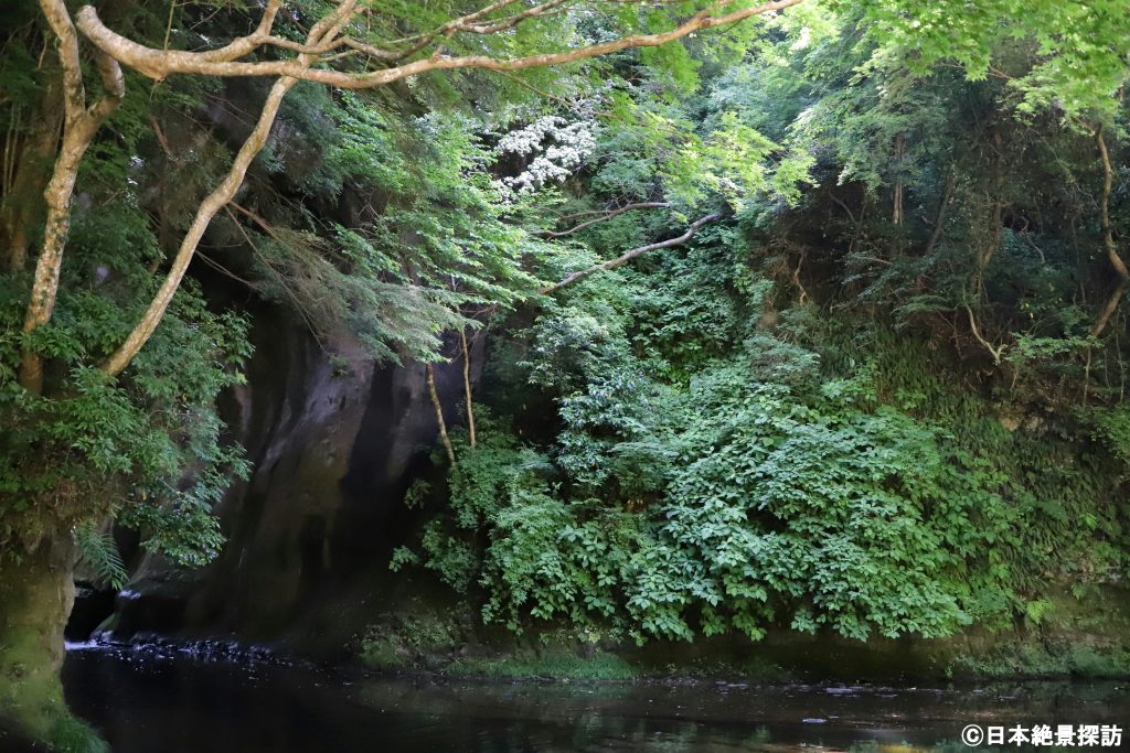 濃溝の滝・亀岩の洞窟（千葉県君津市）を横から