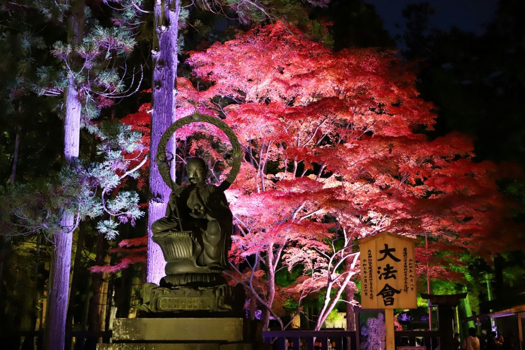 瑞巌寺（宮城県松島町）の紅葉ライトアップ
