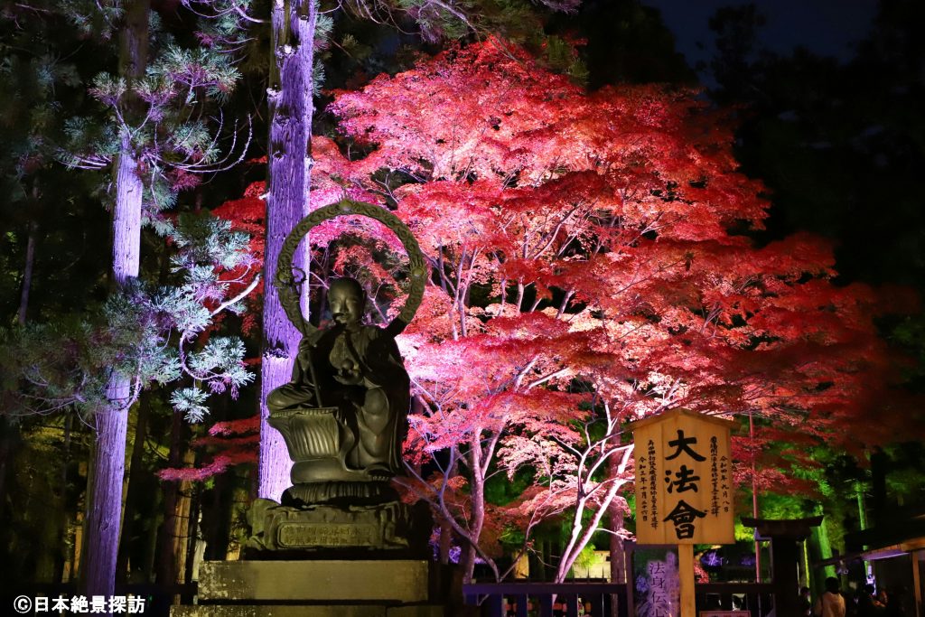 瑞巌寺（宮城県松島町）の紅葉ライトアップ