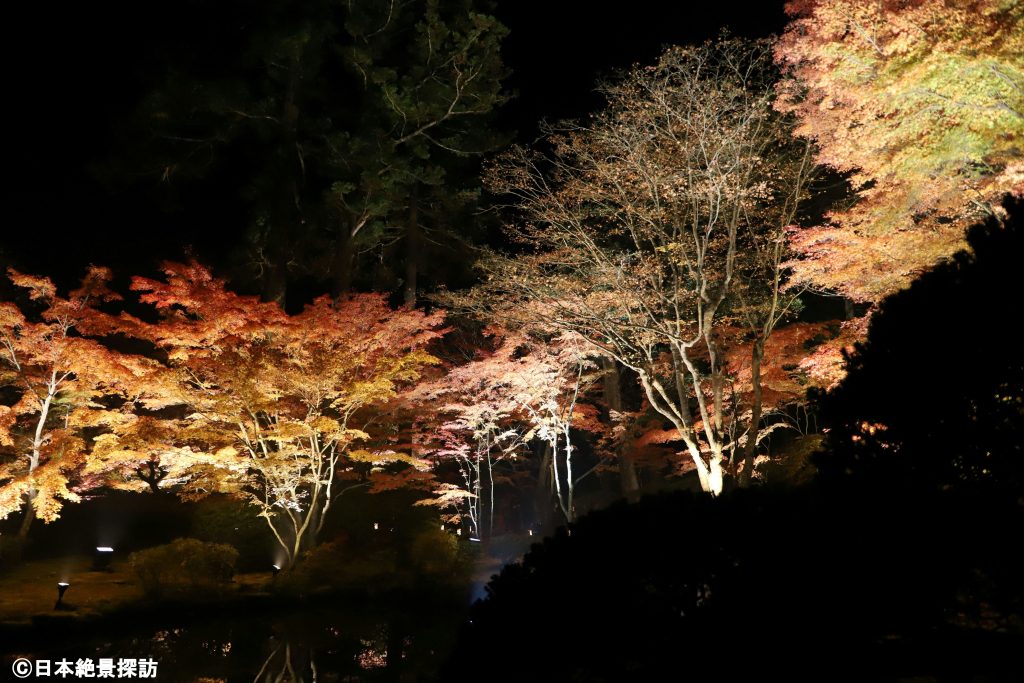 円通院（宮城県松島町）の紅葉ライトアップ・心字の池を囲む鮮やかな紅葉