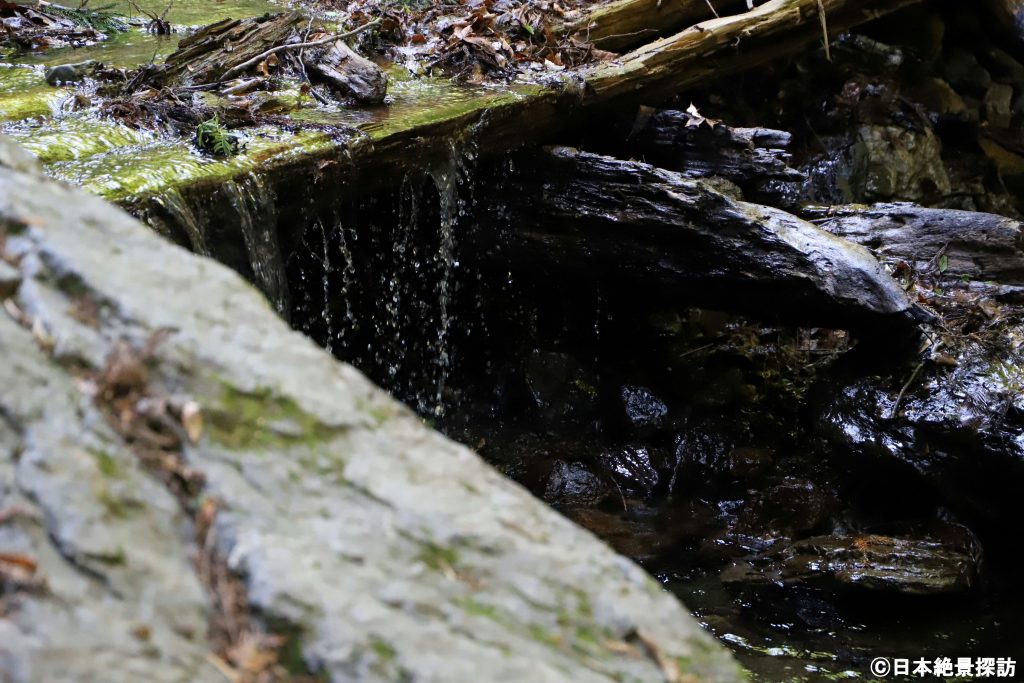 三段の滝（群馬県南牧村）・滴る清水