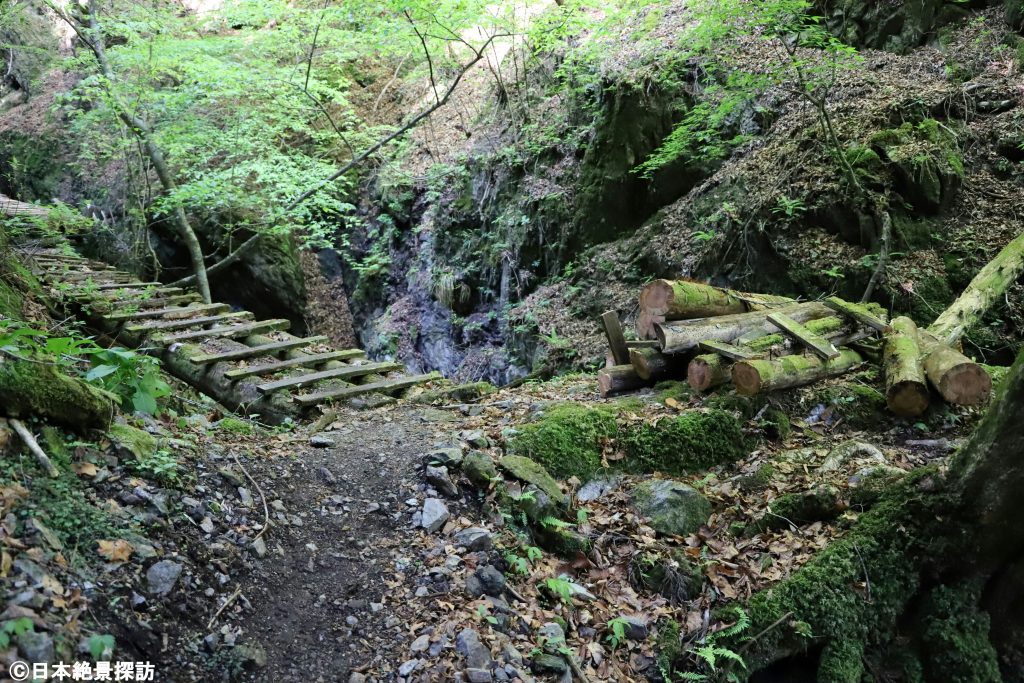 三段の滝（群馬県南牧村）・苔生す遊歩道と木道