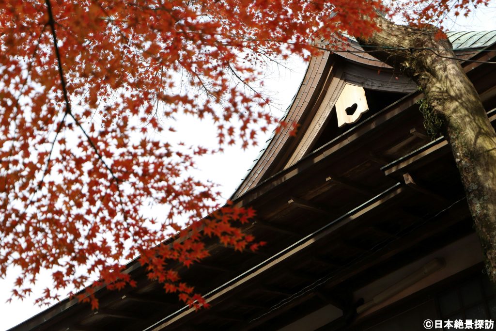 伊豆山神社（静岡県熱海市）・参道を彩る紅葉
