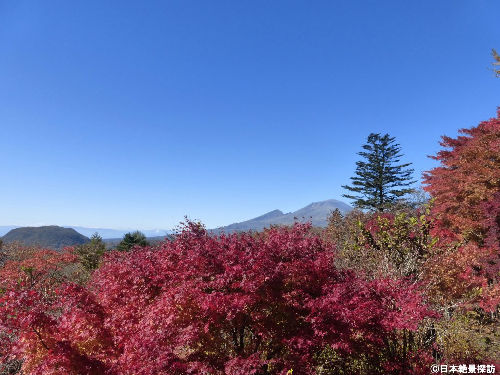 旧碓氷峠見晴台（長野県軽井沢町）から見る紅葉の浅間山