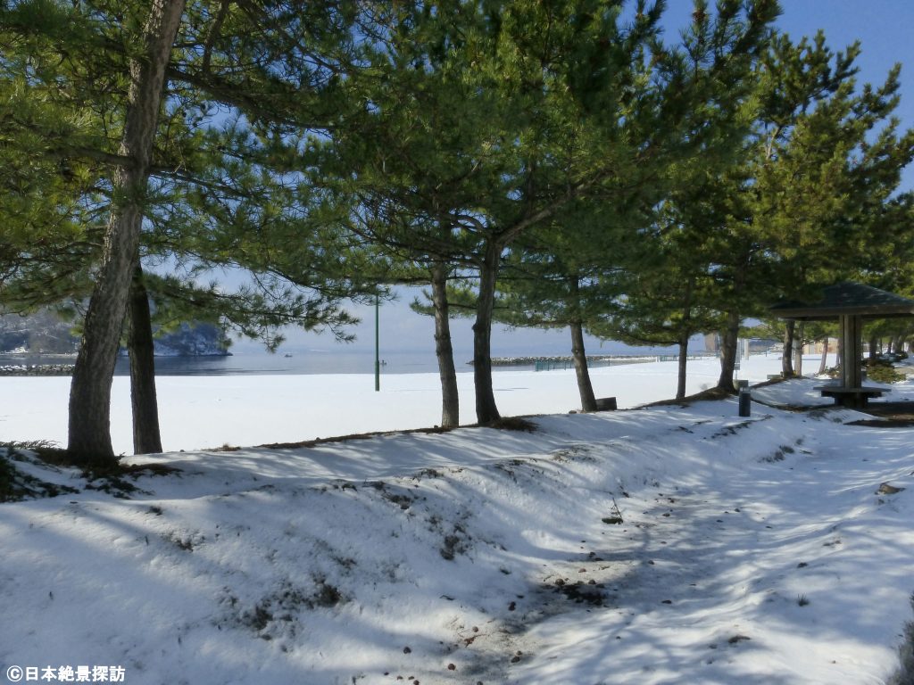 浅虫温泉（青森県青森市）・松林と雪景色