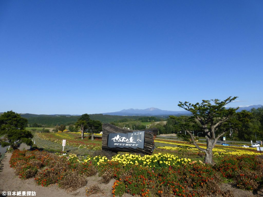 ぜるぶの丘（北海道美瑛町）と大雪山