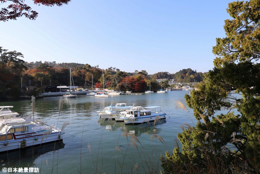 雄島（宮城県松島町）の紅葉・木々の合間から見る松島のマリーナ