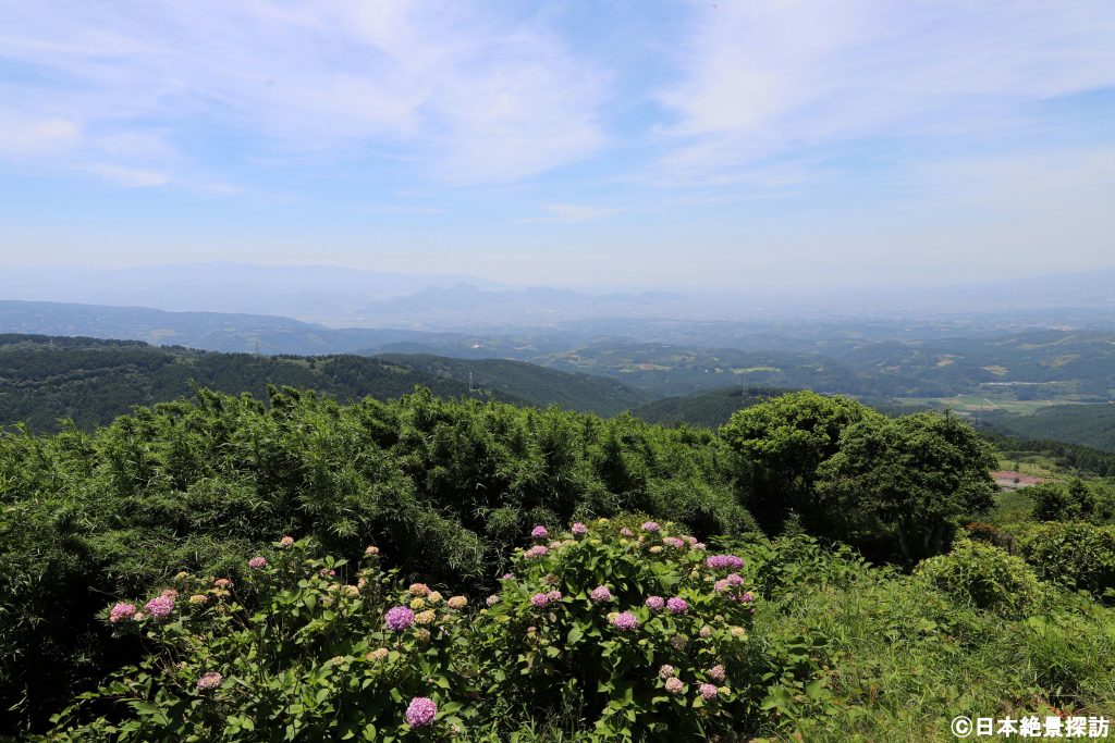 紫陽花と駿河湾・十国峠展望台（静岡県熱海市）より