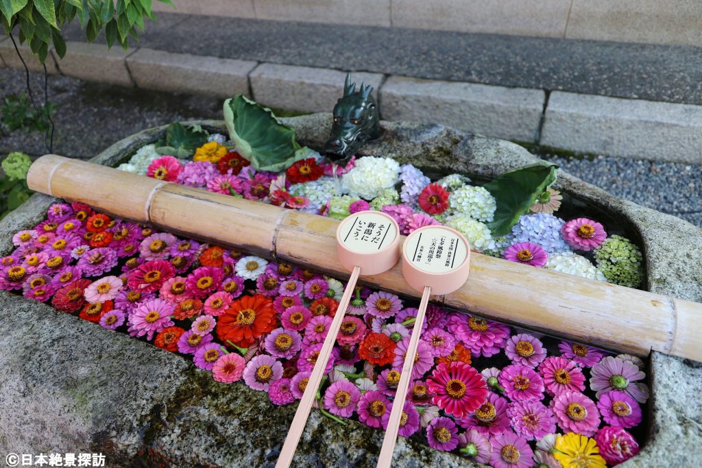 五泉八幡宮（新潟県五泉市）の花手水・夏詣