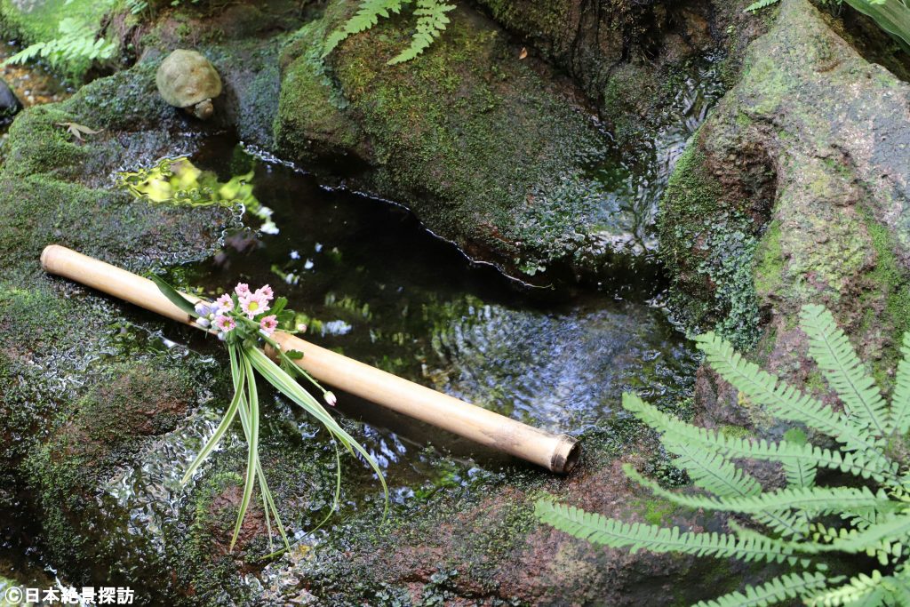 武家屋敷跡・野村家（石川県金沢市）・美しい水手鉢