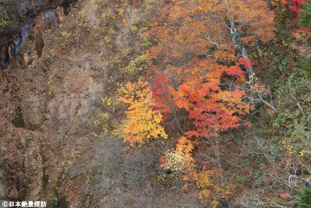 不動沢橋（福島県福島市）・目を惹く赤