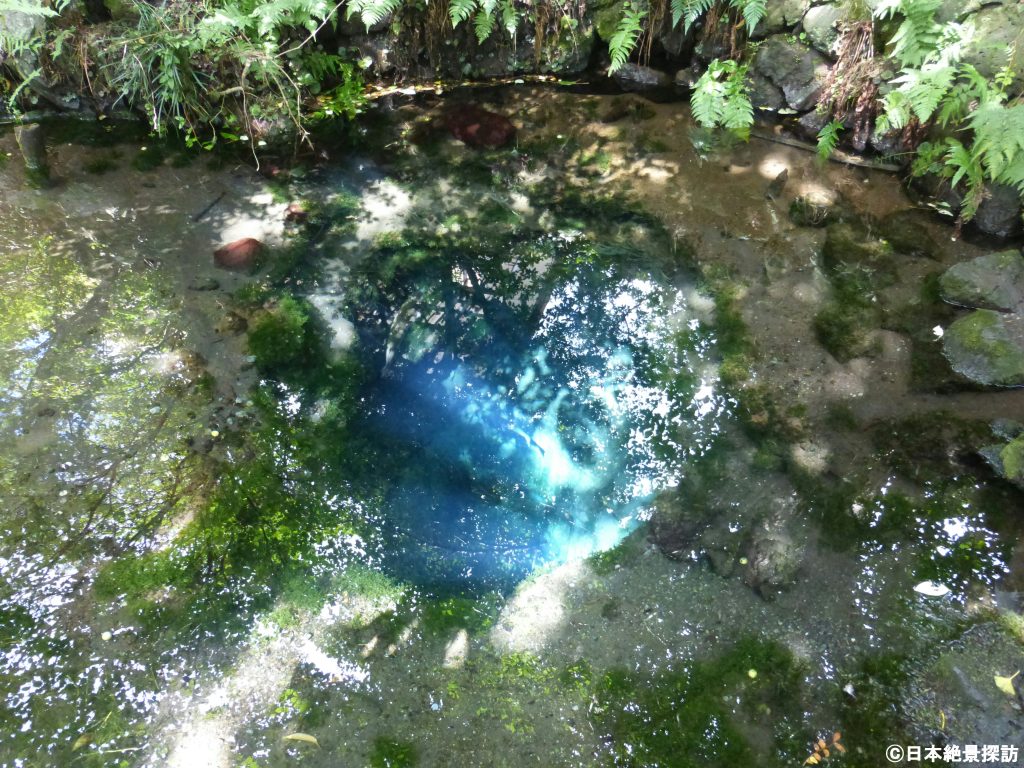 忍野八海・お釜池（山梨県忍野村）・青く輝く水面