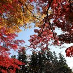 土津神社（福島県猪苗代町）