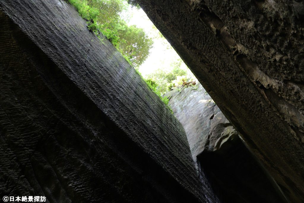 燈籠坂大師の切通しトンネル（千葉県富津市）・トンネルの隙間に光差す