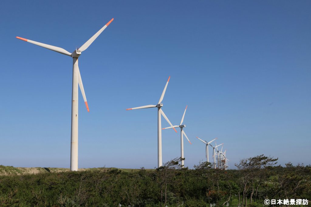 波崎ウインドファーム（茨城県神栖市）・防風林と風力発電機