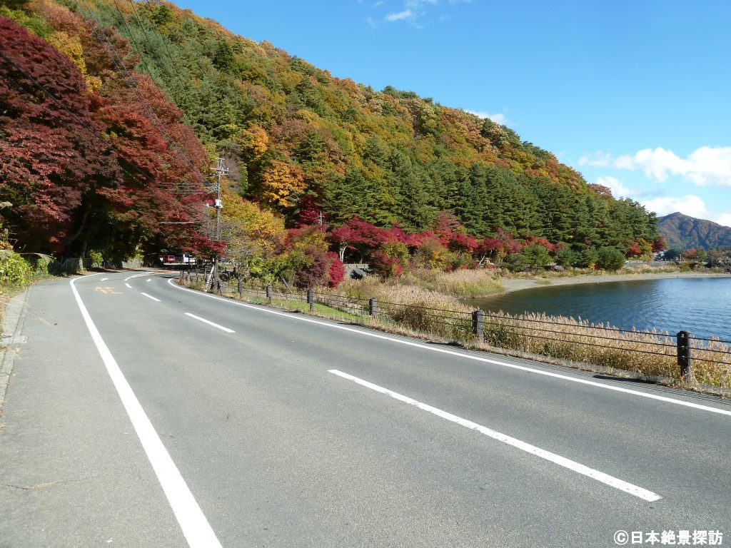 カーブの先にあるもみじトンネル（山梨県富士河口湖町）