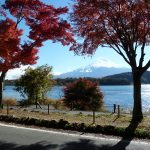 もみじトンネル（山梨県富士河口湖町）