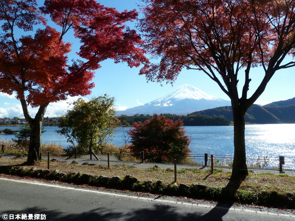 もみじトンネル（山梨県富士河口湖町）・富士山と紅葉のコラボレーション