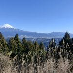 白鳥山森林公園（山梨県南部町）