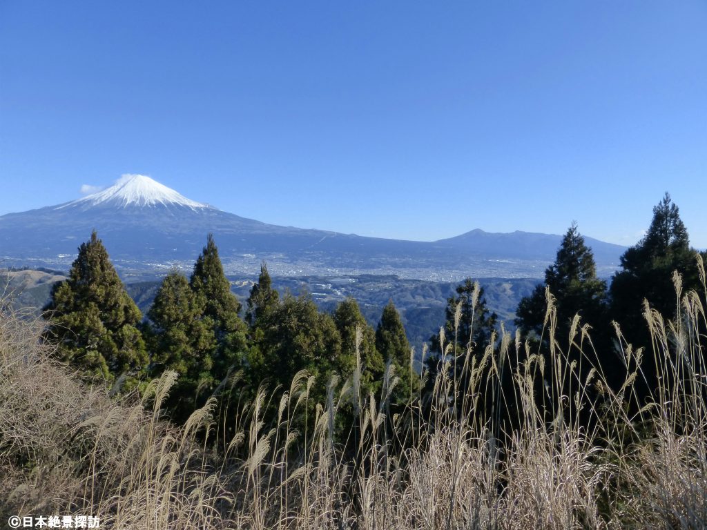 白鳥山森林公園（山梨県南部町）から見る富士山