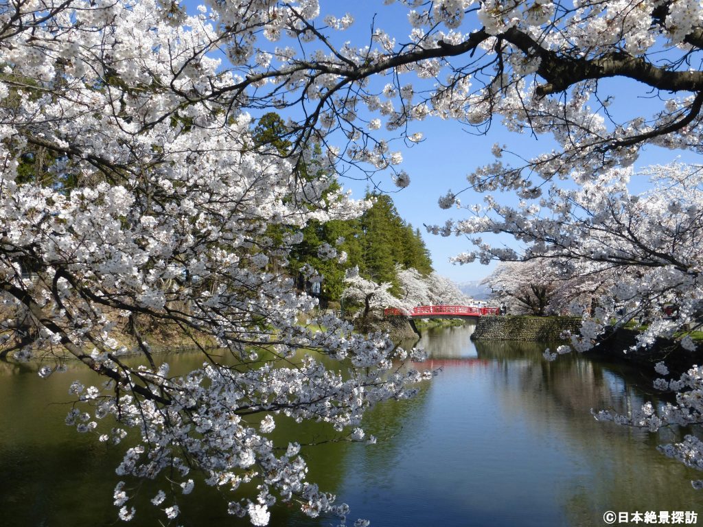 松が岬公園/上杉神社（山形県米沢市）・真っ赤な菱門橋とともに