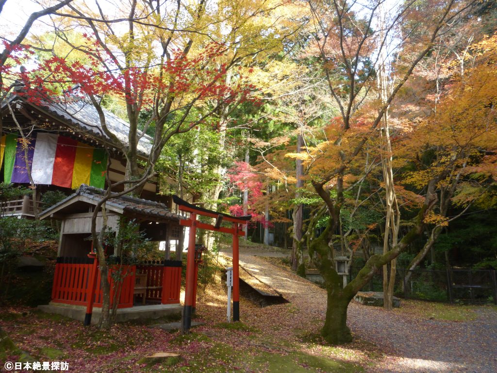 今熊野観音寺（京都府京都市東山区）・熊野権現社と落ち葉降る道