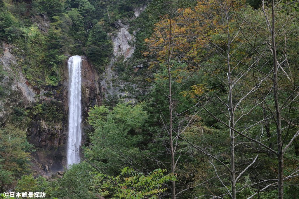 木々と平湯大滝（岐阜県高山市）