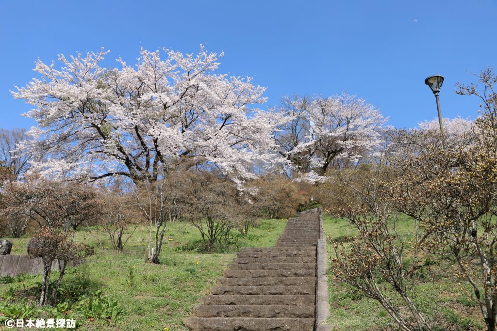 長峰公園（栃木県矢板市）・桜山のてっぺんへ